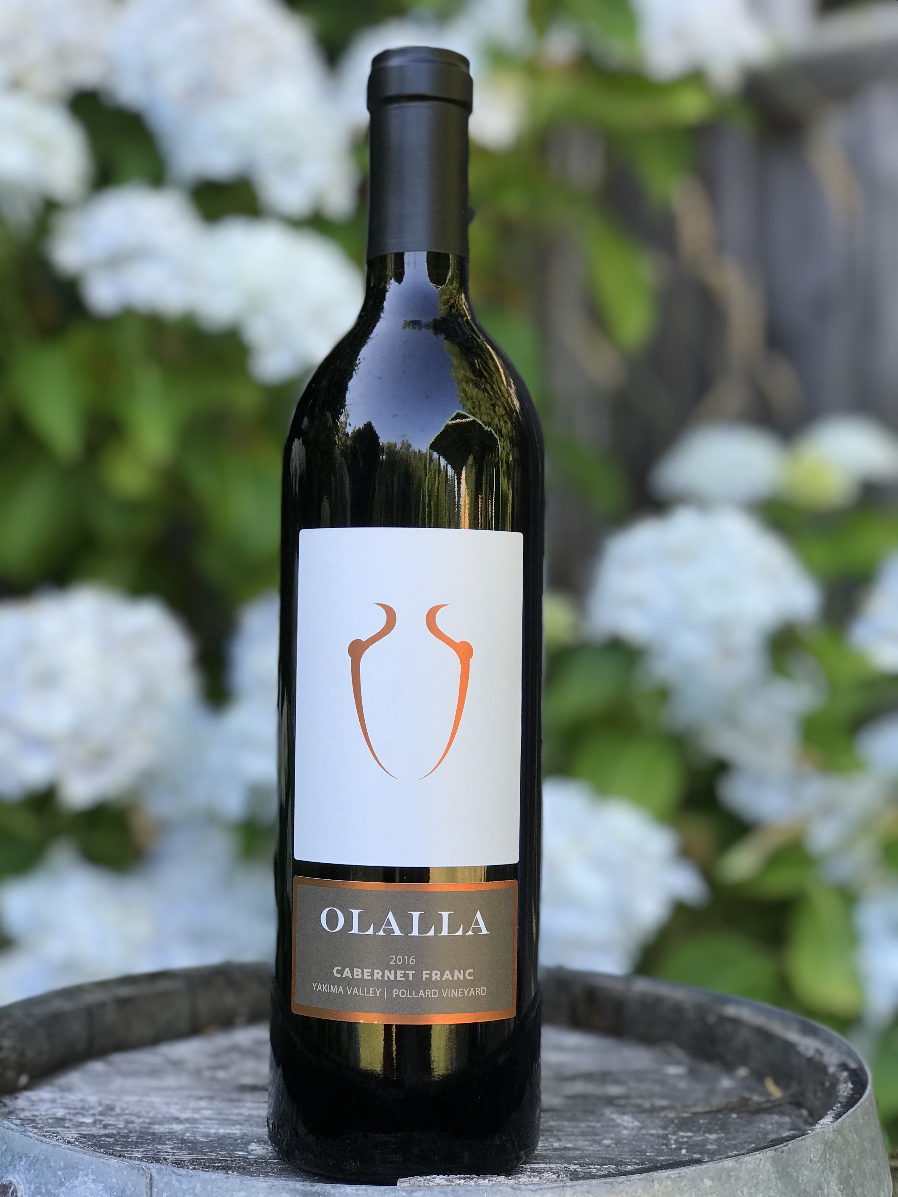 Product Image for 2019 Cabernet Franc - Columbia Valley